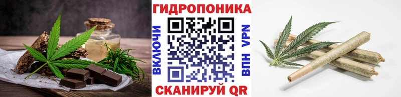 Cannafood марихуана  купить   Камышлов 