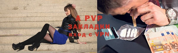 сатива Волоколамск