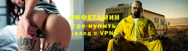 сатива Волоколамск