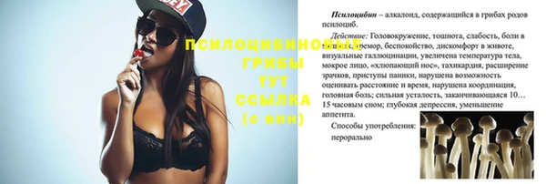 сатива Волоколамск