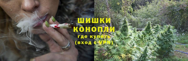 амф Володарск