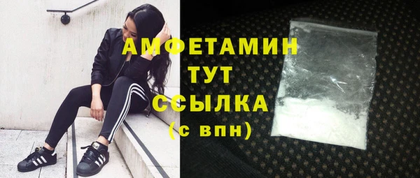 амф Володарск