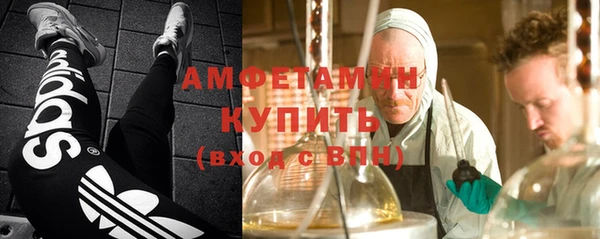 сатива Волоколамск