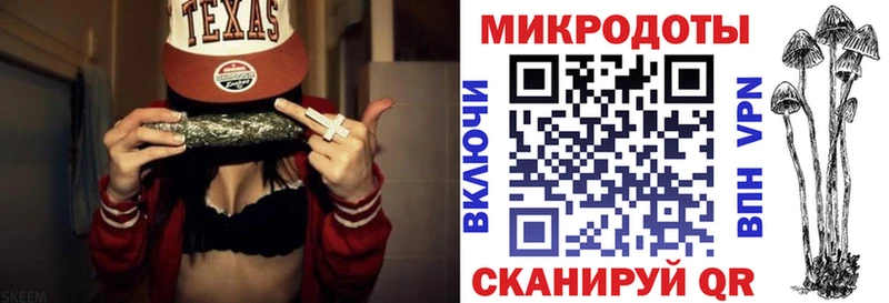 как найти Камышлов Псилоцибиновые грибы мухоморы