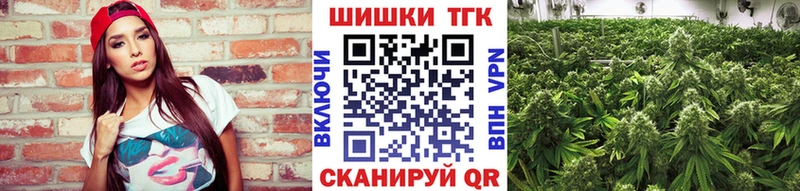 Бошки марихуана OG Kush Камышлов